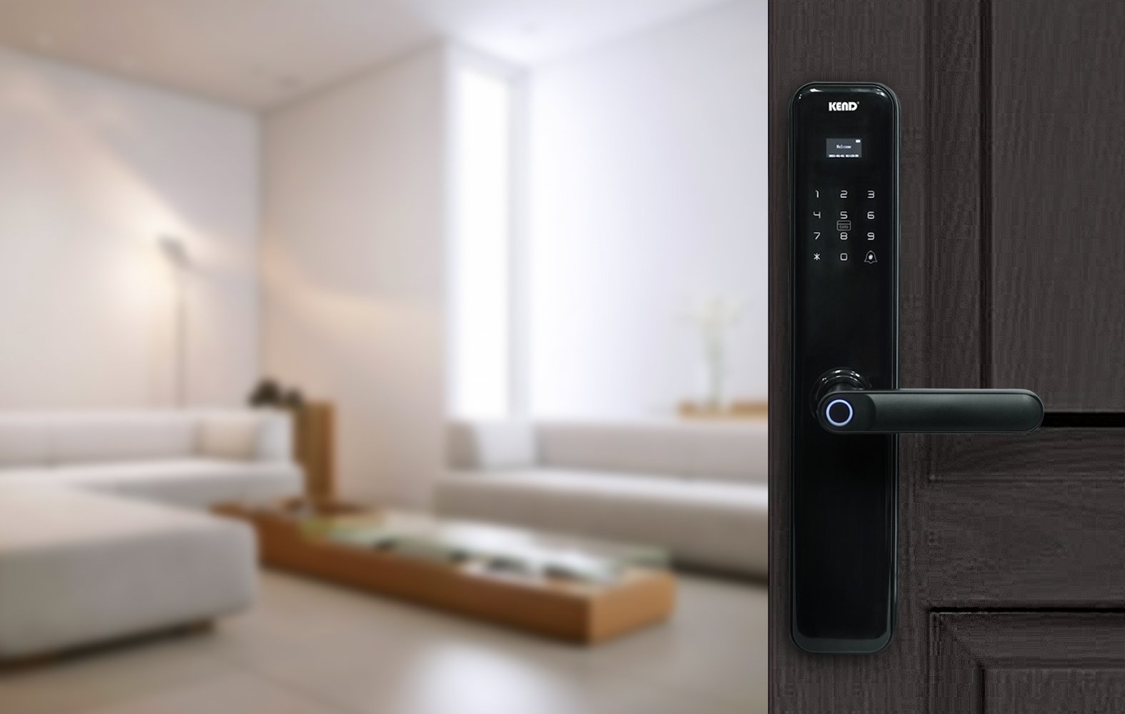 Smart Door Lock Cluster Roma